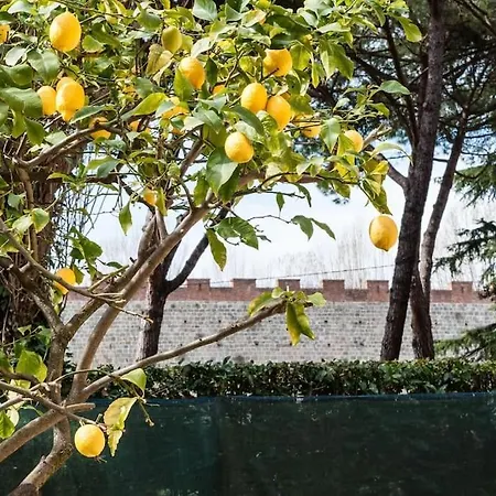 Lemon House Appartement